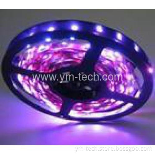 12v 3528 5050 flexible led strip